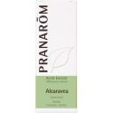 Comprar aceite esencial de alcaravea 10cc Pranarom