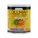 COLLMAR COLAGEN MAG HIALURONICO CURCUMA VAINILLA 300 GR DRASANVI