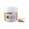MAITAKE MRL (GRIFOLA FRONDOSA)  250 G ATENA