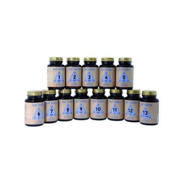 SAL SALYS 13 TOTUM 90 COMP UROBOROS JELLY BELL