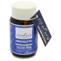 Comprar online HARPAGOFITO 1600 MG 30 CAP ESTADO PURO TONGIL