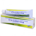 Comprar online CICADERMA POMADA 40 GR. BOIRON - Farmacia Coliseum