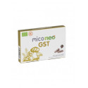 MICO NEO GST 60 CAP NEOVITAL