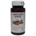 CORDYCEPS 90 CAP GHEOS