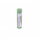 Comprar online ACIDUM PHOSPORICUM COMPOSE GRANULOS BOIRON - Coliseum