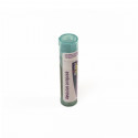 Comprar AESCULUS COMPOSE GRANULOS BOIRON online - Farmacia Coliseum