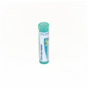 Comprar online ALLIUM CEPA COMPOSE GRANULOS BOIRON - Coliseum
