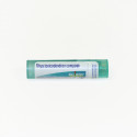 Comprar RHUS TOX COMPOSE GRANULOS BOIRON online - Farmacia Coliseum