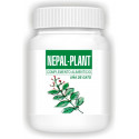 Comprar NEPALPLANT UÑA DE GATO 120 CAP NEPAL online - Coliseum