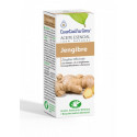 Comprar JENGIBRE O.E 10 ML ESENTIAL AROMS INTERSA online - Coliseum