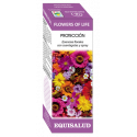 FLOWERS OF LIFE PROTECCION 15 ML EQUISALUD