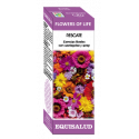 Comprar FLOWERS OF LIFE RESCATE 15 ML EQUISALUD online - Coliseum