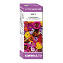 FLOWERS OF LIFE TEMOR 15 ML EQUISALUD