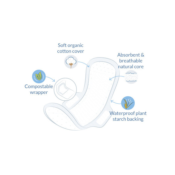 Comprar online NATRACARE COMPRESA REGULAR CON ALAS PLEG - Coliseum