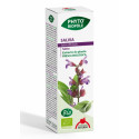 Comprar PHYTOBIOPOLE SALVIA 50 ML INTERSA online - Farmacia Coliseum