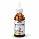 Comprar PHYTOBIOPOLE SALVIA 50 ML INTERSA online - Farmacia Coliseum