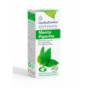 Comprar online MENTA PIPERITA O.E. 10CC ESENTIAL AROMS INTERSA