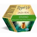 Comprar online ROYAL VIT STUDIO 20 AMP DIETISA - Farmacia Coliseum