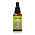 Comprar FINDHORN ENERGY SHIELD 30  ML online - Farmacia Coliseum