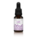 FINDHORN ELDER (SAUCE) 15 ML