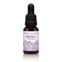 FINDHORN HAREBELL (CAMPANILLA) 15 ML