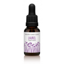 Comprar FINDHORN LAUREL 15 ML online - Farmacia Coliseum