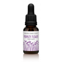 Comprar FINDHORN MONKEY FLOWER (MIMULO) 15 ML online - Coliseum