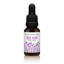 FINDHORN ROSE ALBA (ROSA ALBA) 15 ML