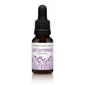 FINDHORN SCOTISH PRIMROSE (PRIMULA) 15 ML