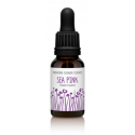Comprar FINDHORN SEA PINK (ARMENIA MARITIMA) 15 ML online - Coliseum