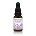 Comprar online FINDHORN SEA ROCKET (RUCA DE MAR) 15ML - Coliseum