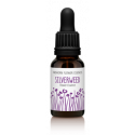 Comprar online FINDHORN SILVERWEED (POTENTILLA) 15 ML - Coliseum