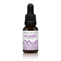 FINDHORN WILLOWHERB (ADELFILLA) 15 ML