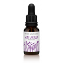 FINDHORN WINTERGREEN (PIROLA UNIFLORA) 15 ML