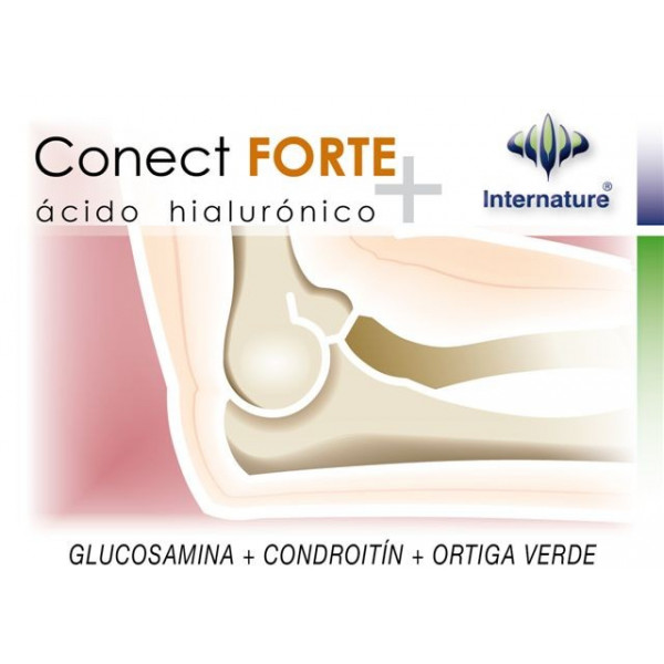 Comprar online CONECT FORTE 60 CAP 725 MG. INTERNATURE - Coliseum