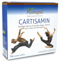 Comprar CARTISAMIN 10 AMP PLANTAPOL online - Farmacia Coliseum