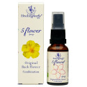 Comprar Rescue Remedy-cinco flores spray 20ml Healing Herbs - Coliseum