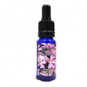 Comprar TRIUNIDAD ACHICORIA 15 ML online - Farmacia Coliseum