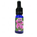 Comprar TRIUNIDAD ARBEJINA 15 ML online - Farmacia Coliseum