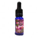 Comprar TRIUNIDAD CENTAURA MENOR 15 ML online - Farmacia Coliseum