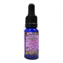 Comprar online TRIUNIDAD ESCABIOSA 15 ML - Farmacia Coliseum