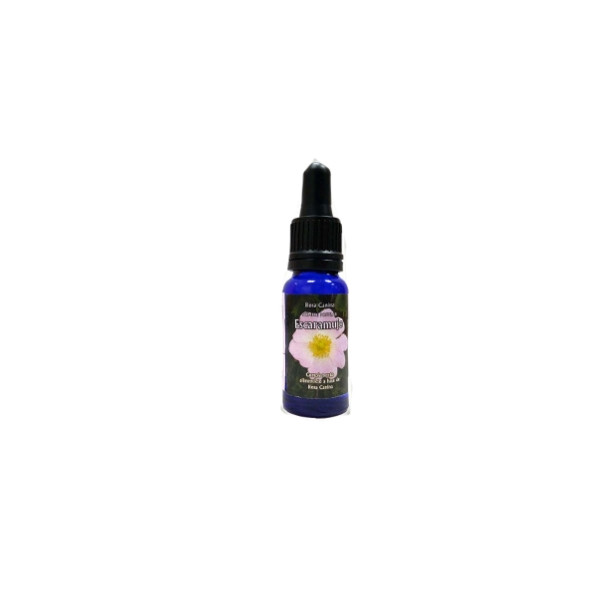 Comprar TRIUNIDAD ESCARAMUJO 15 ML online - Farmacia Coliseum