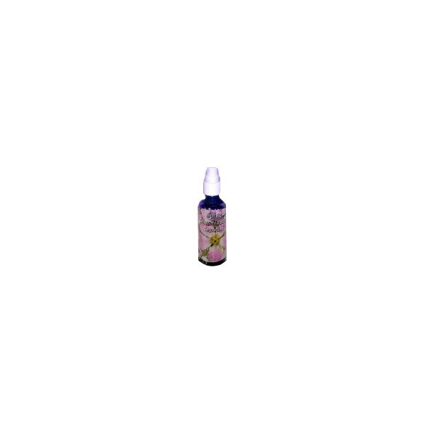 Comprar TRIUNIDAD SPRAY ARMONIZADOR ESENCIAL 30 ML online - Coliseum