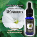 Comprar online TRIUNIDAD ESTRAMONIO 15 ML - Farmacia Coliseum
