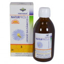 NATURPROLIS JARABE BALSAMICO 250 ML INTERNATURE