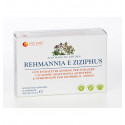 REHMANNIA E ZIZIPHUS - TIAN WANG BU XIN LAO DAN PLANTANET
