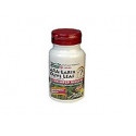 Comprar ARA LARIX OLIVE LEAF (ALERCE+OLIVO) 30 COMP NATURE'S PLUS