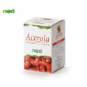 Comprar ACEROLA 45 CAP. NEO PHO online - Farmacia Coliseum