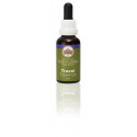 E.F. TRAVEL ESSENCE 30 ML.