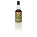 E.F. RELATIONSHIP ESSENCE 30 ML.